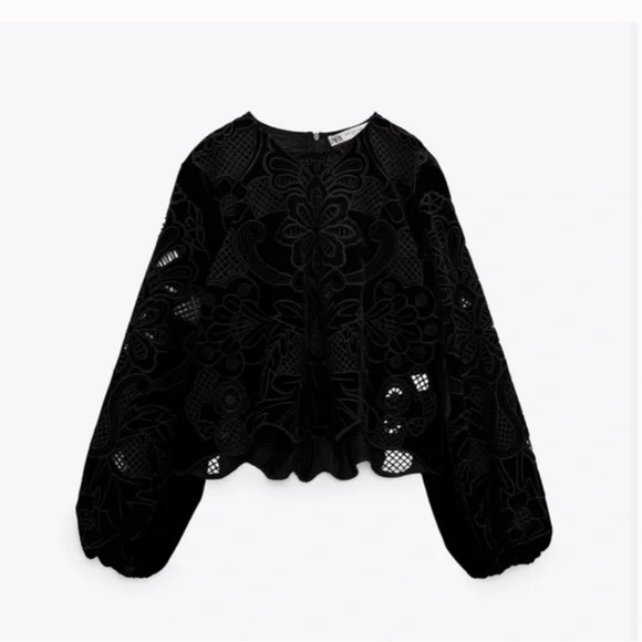 Zara Tops Zara Embroidered Velvet Blouse Poshmark